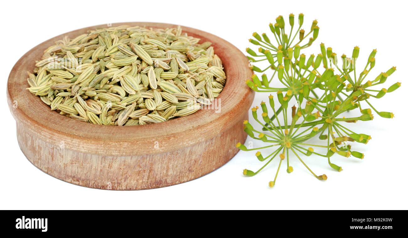 Green fennel seeds with flower over white background Stock Photo Alamy