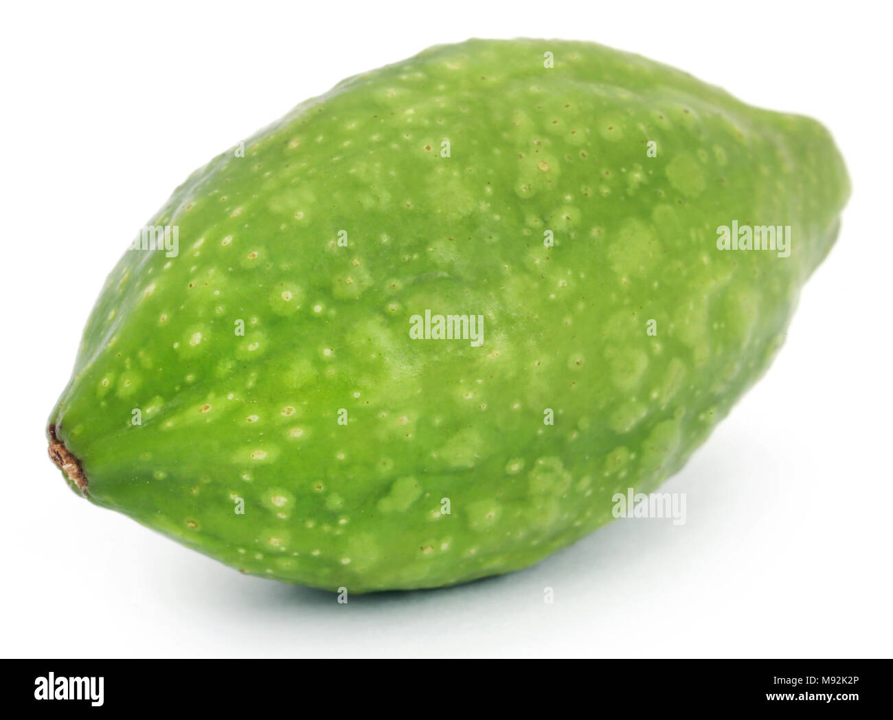 Fresh green medicinal haritaki fruit over white backgrund Stock Photo