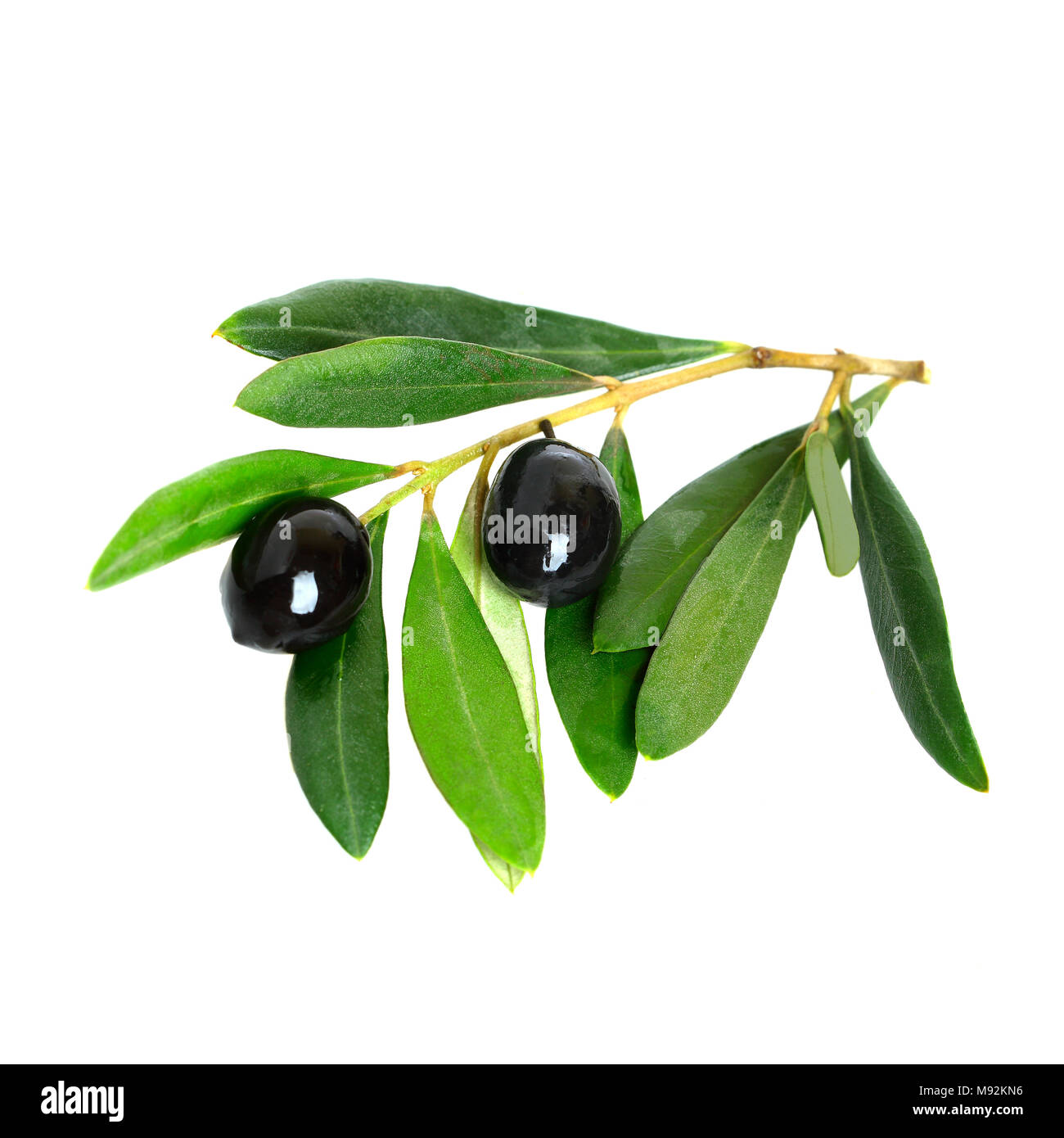 Black olives and green leaves isolated on white background Stock Photo ...