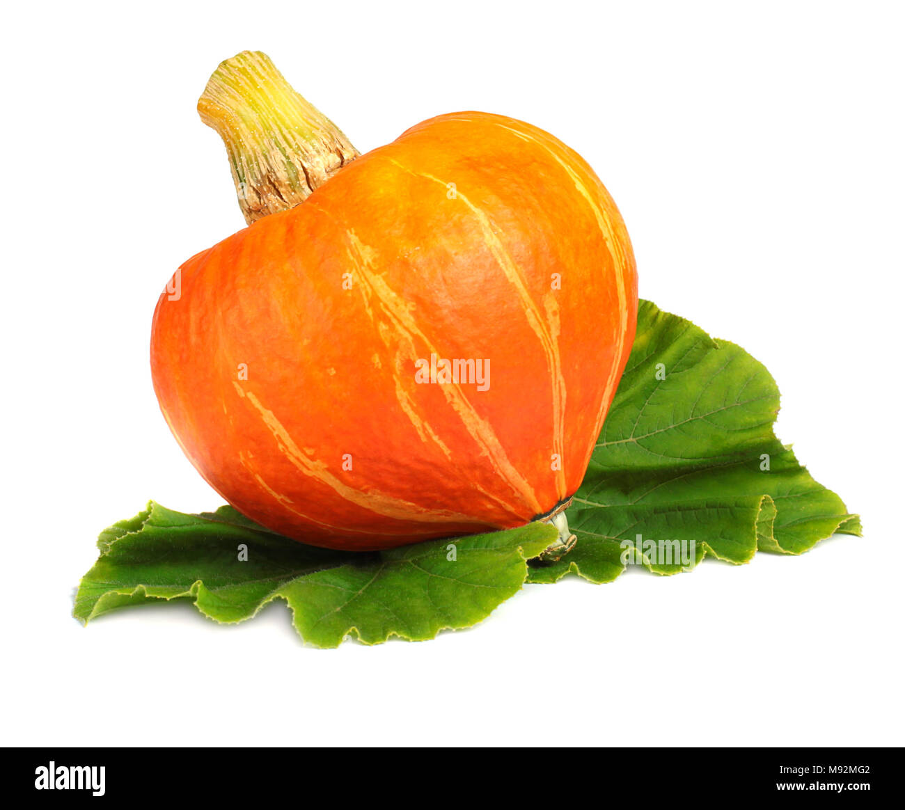 Pumpkin isolated on white background Stock Photo - Alamy