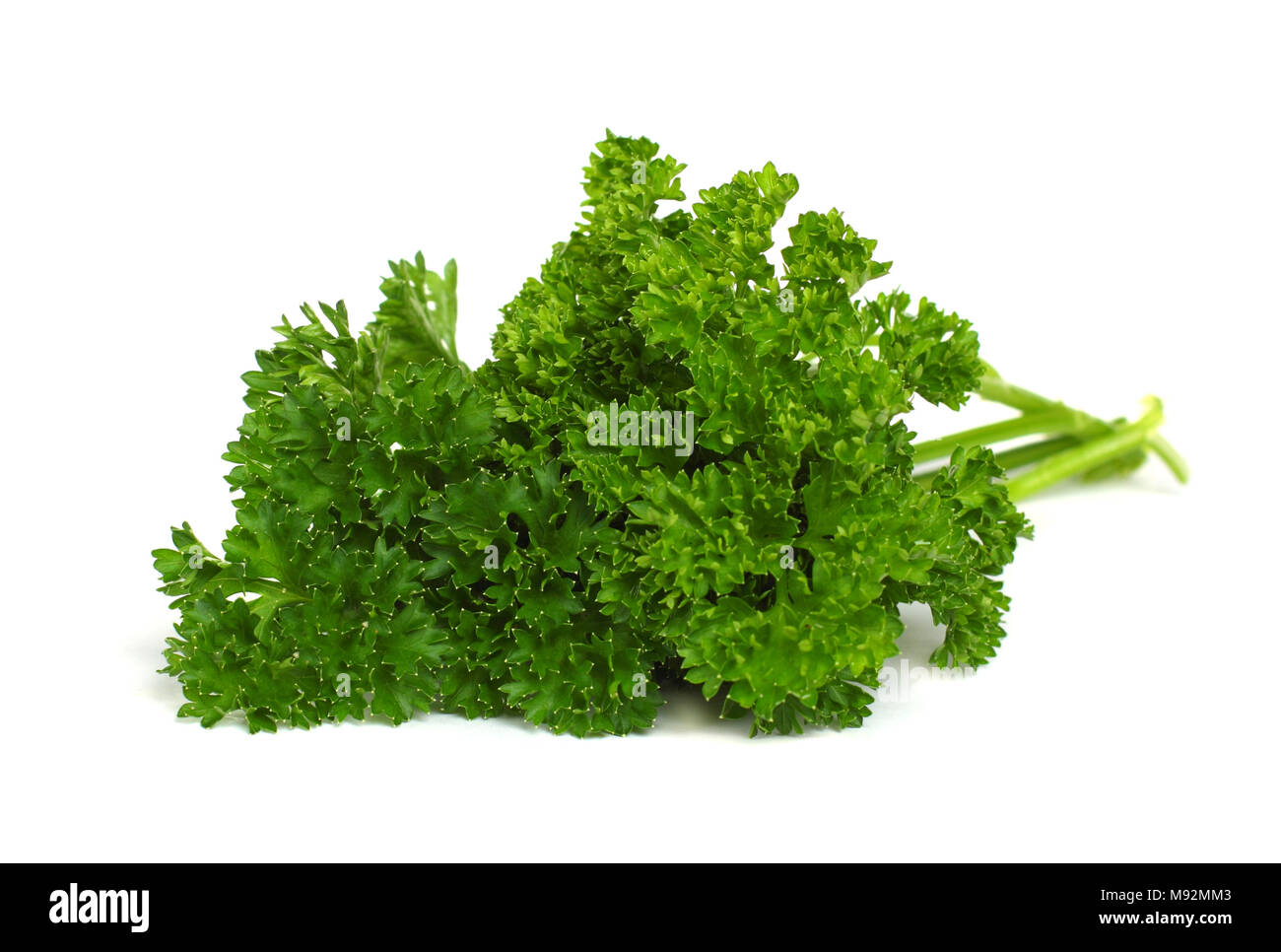 Fresh Herbs - green parsley isolated on white Stock Photo - Alamy