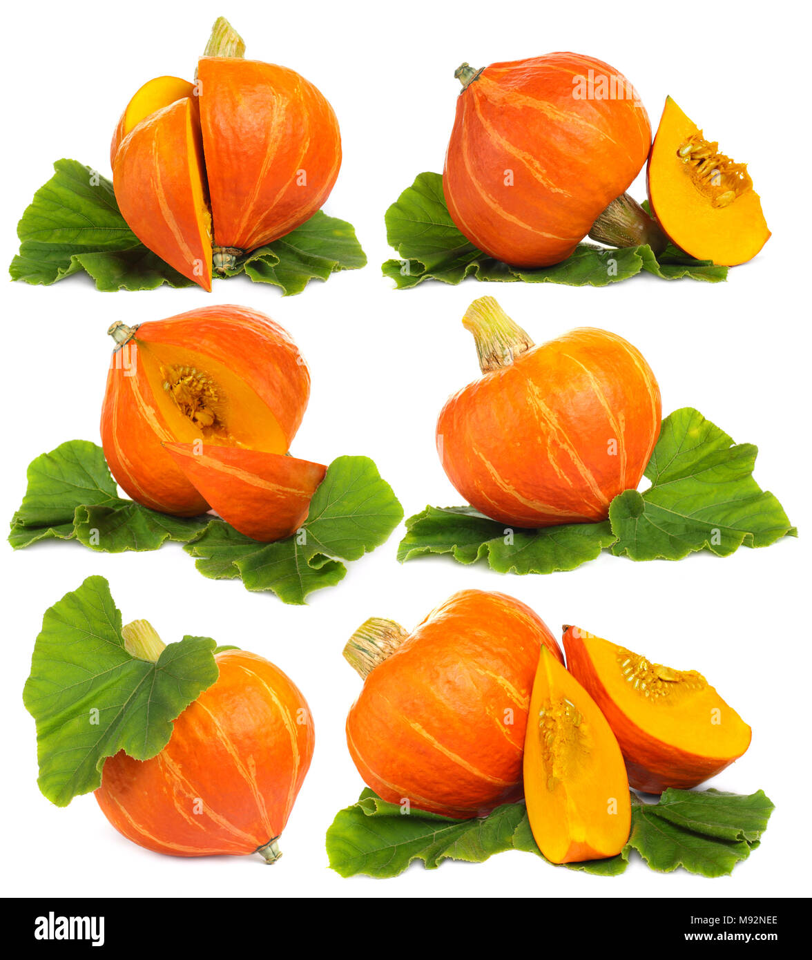 Pumpkin isolated on white - set Stock Photo - Alamy