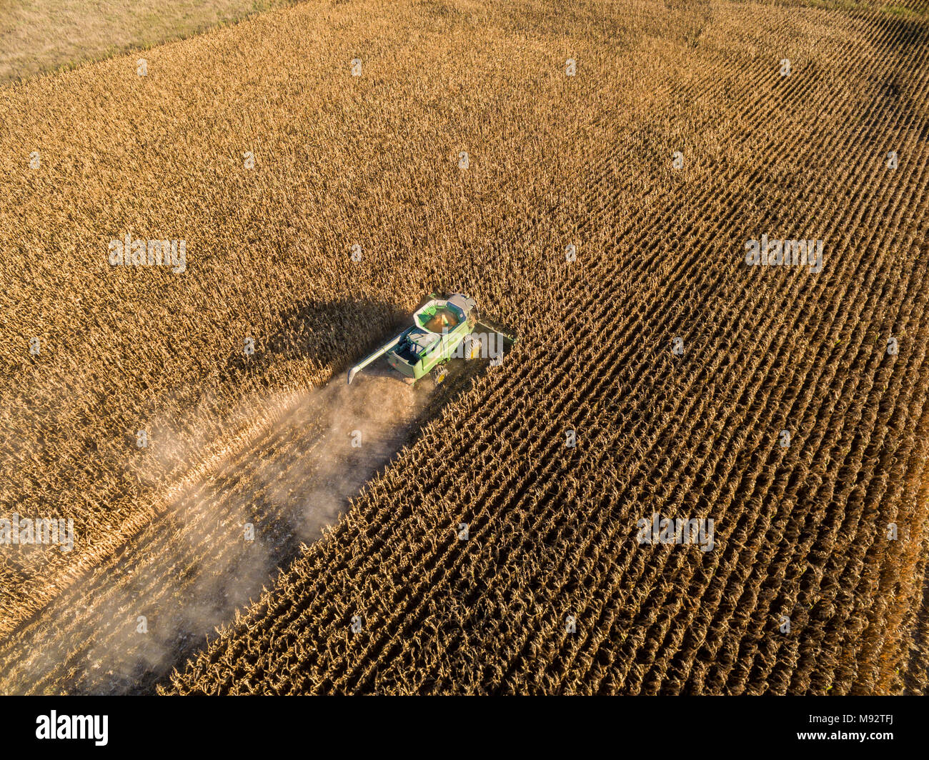 63801-08515 Corn Harvest, John Deere combine harvesting corn - aerial Marion Co. IL Stock Photo