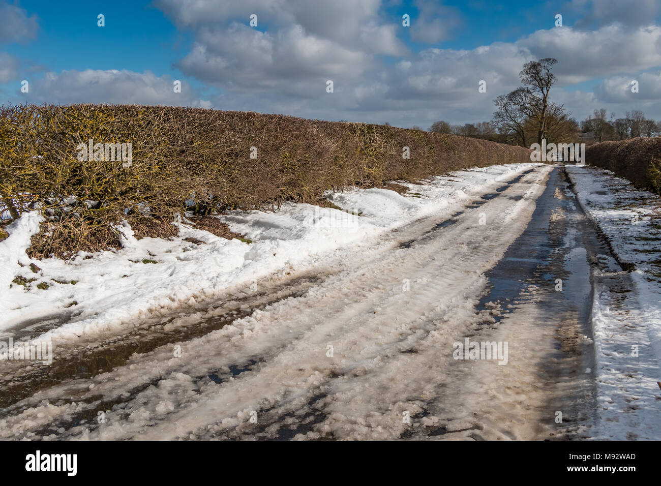 A rural country road with snow and ice thawing in bright sunshine after blizzard conditions two days earlier. Stock Photo