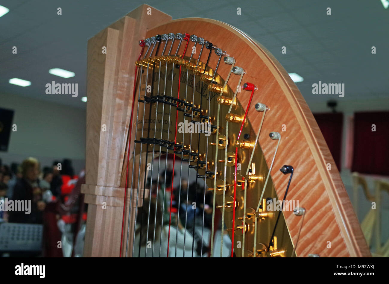 Largest harp 2024