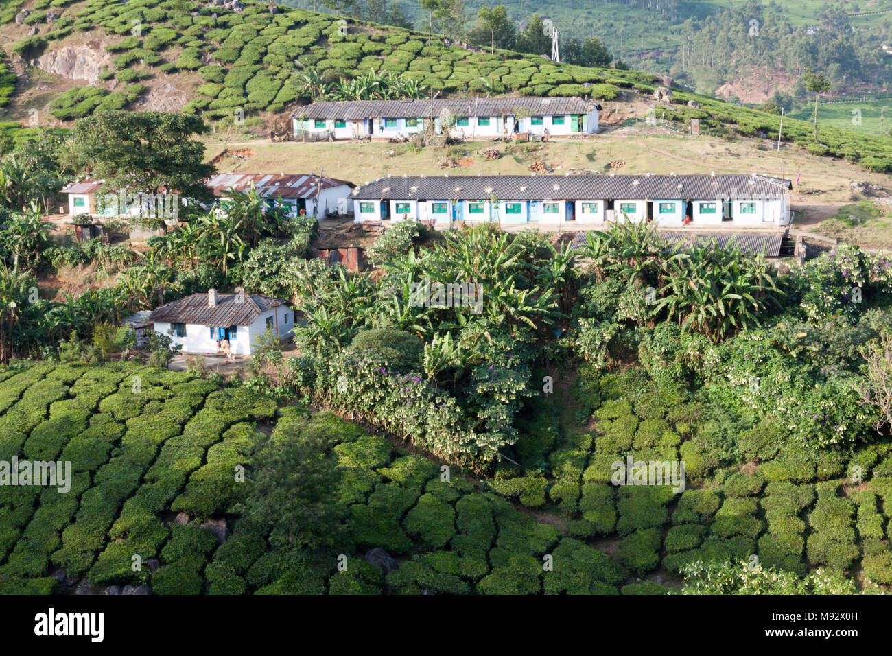 Tea plantation munnar hires stock photography and images Alamy