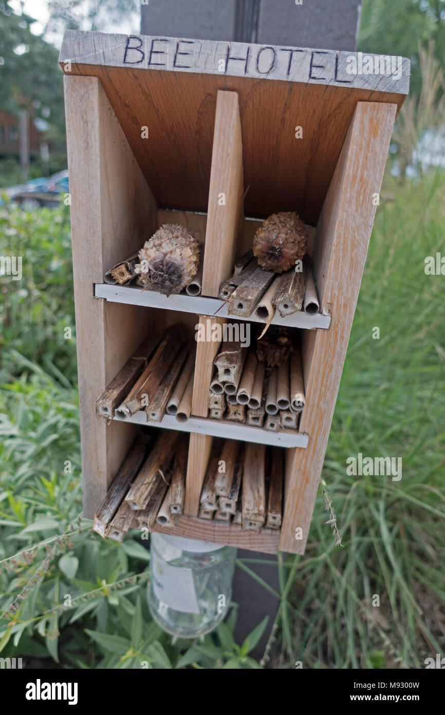 Bee Hotel a manmade structure created to provide shelter for bees and may contain some nourishment. Lake Calhoun trail. Minneapolis Minnesota MN USA Stock Photo