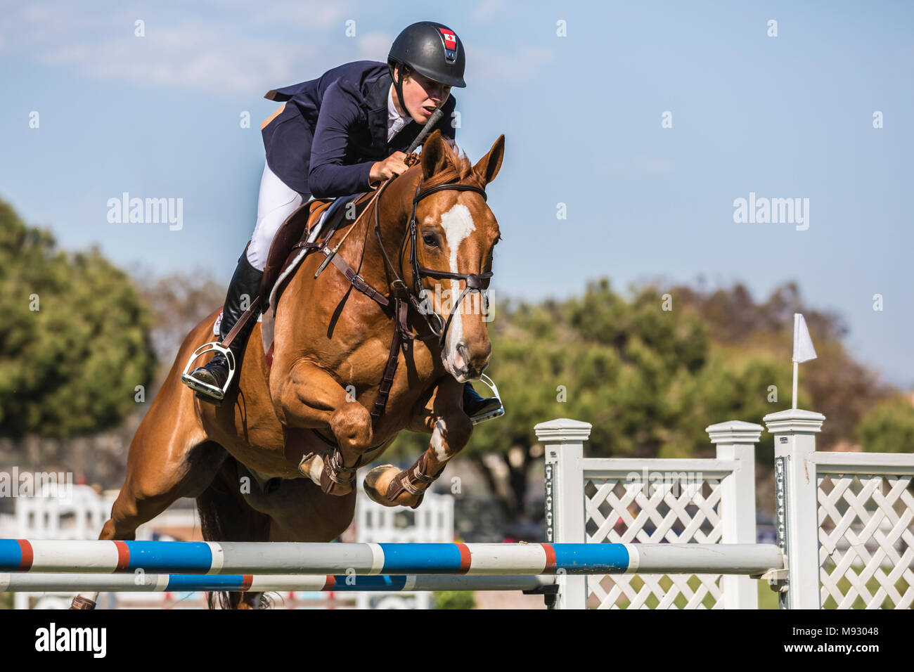 rider on show jumper horse over jump at Blenheim Equisport event at Showpark  Del Mar Stock Photo