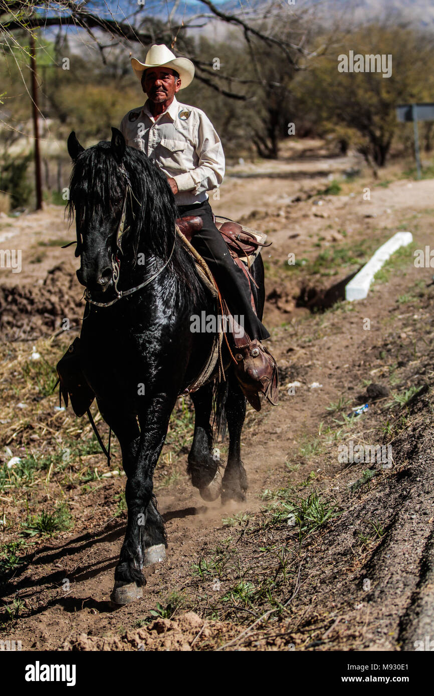 Vaquero montando su caballo. Imagen tipa en Imuris y la Sierra de