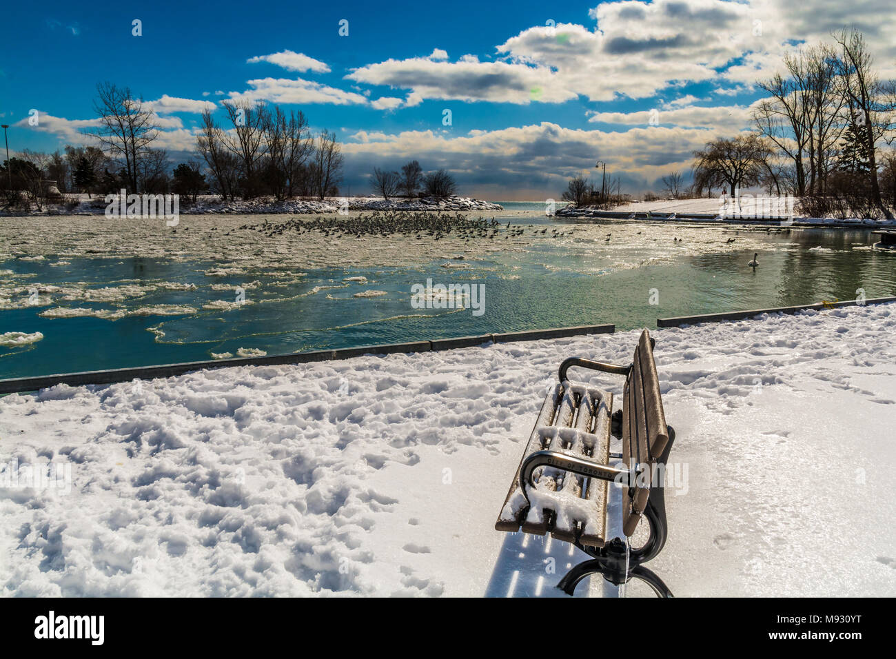 Winter Lake Scene featuring frozen lake with seagulls perched and flying on a bright sunny day Stock Photo