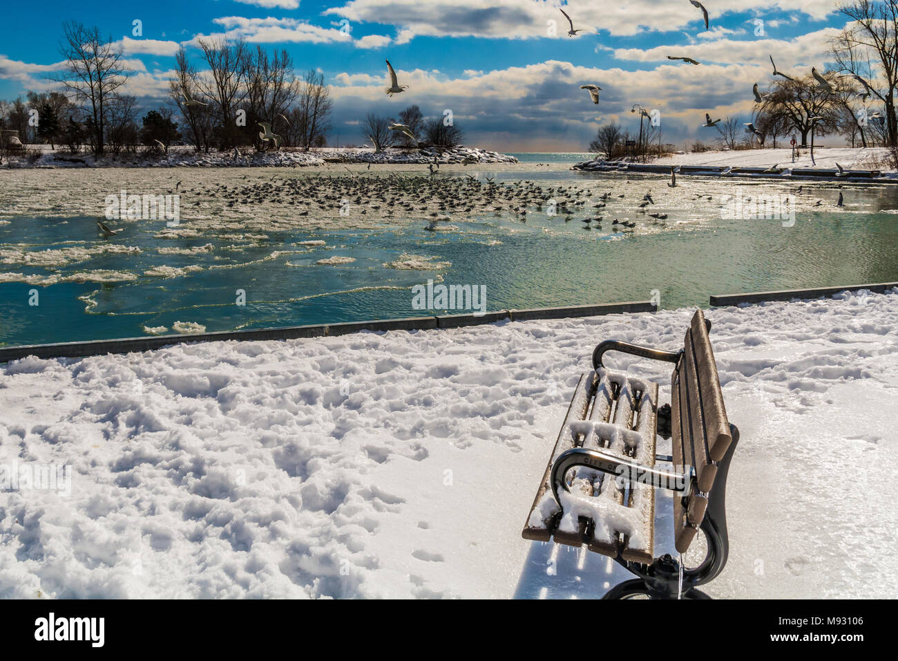 Winter Lake Scene featuring frozen lake with seagulls perched and flying on a bright sunny day Stock Photo