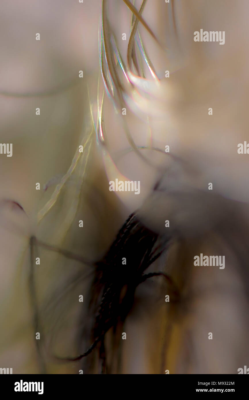 Abstract threads hi-res stock photography and images - Alamy