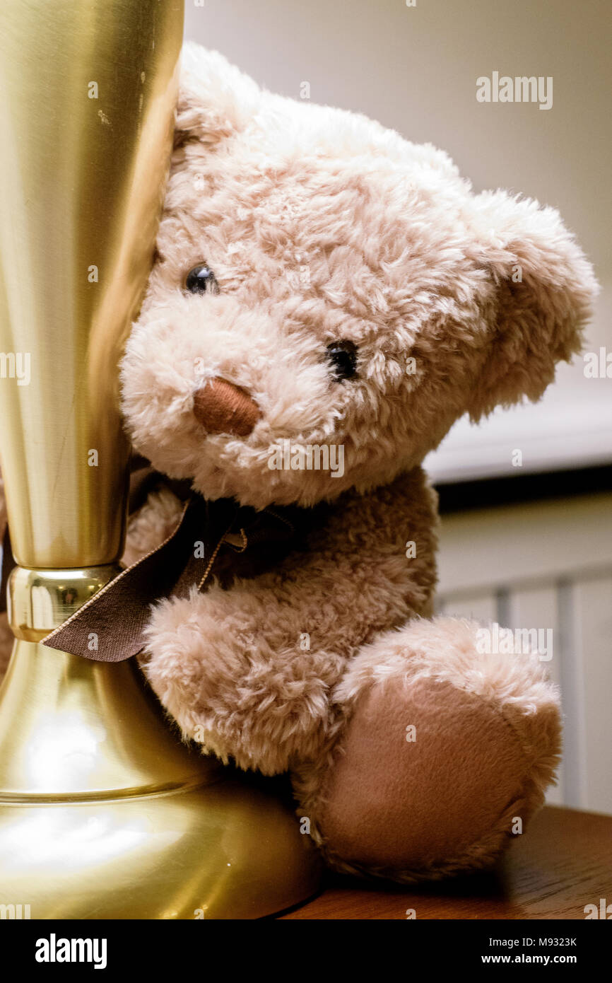 Cuddly little bear hi-res stock photography and images - Alamy