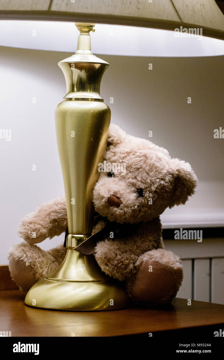 Cuddly little bear hi-res stock photography and images - Alamy