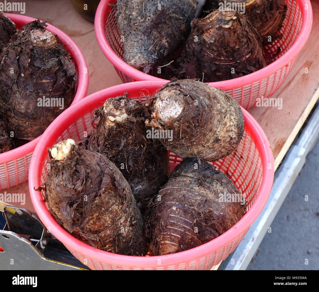 A market vendor sells large taro roots, a popular vegetable in Taiwan Stock Photo Alamy