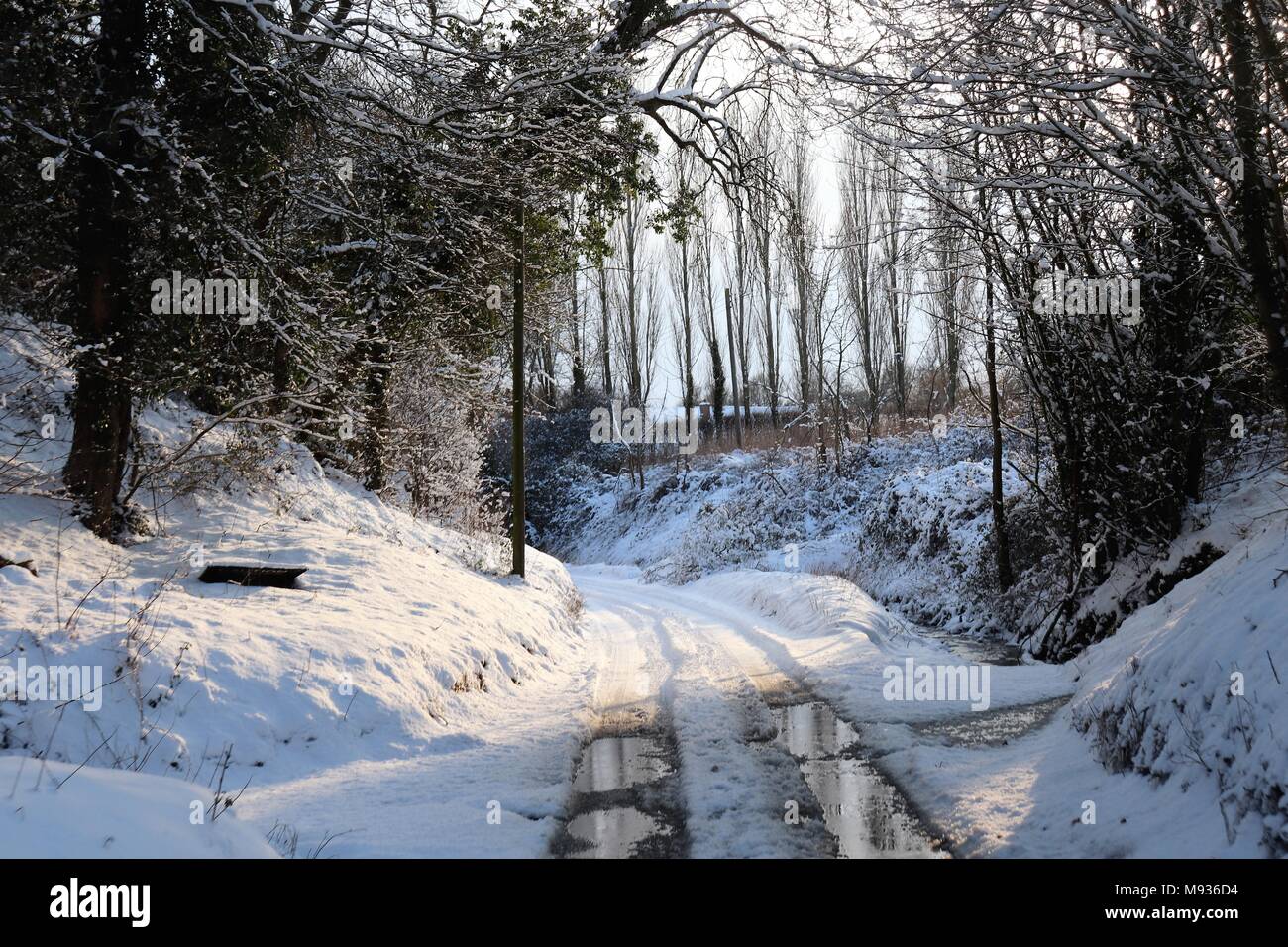 Tyre Tracks from a 4WD Vehicle Between Crowfield and Coddenham, Suffolk Stock Photo