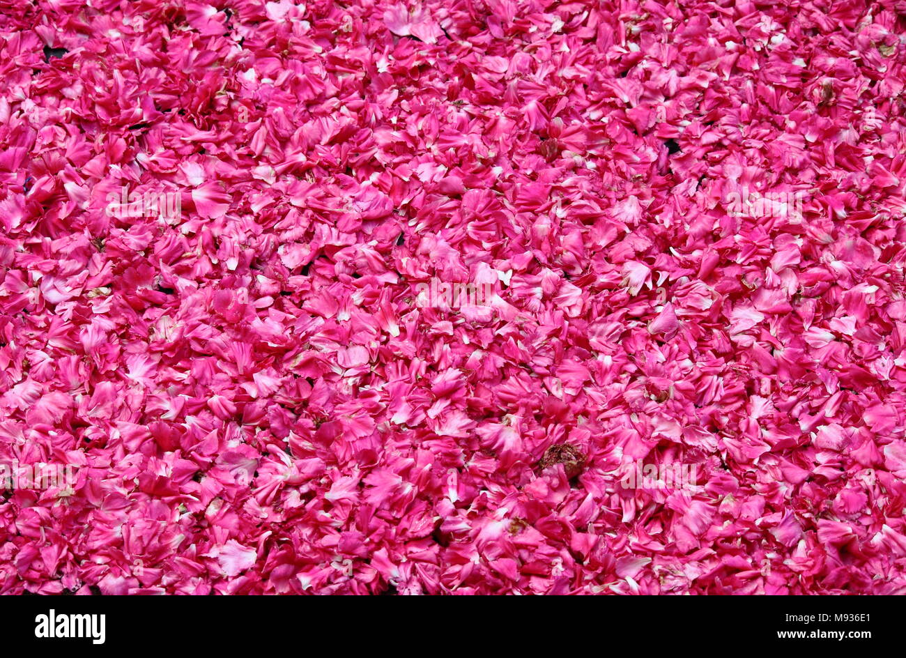 Rose petals for sale in a market stall Stock Photo Alamy
