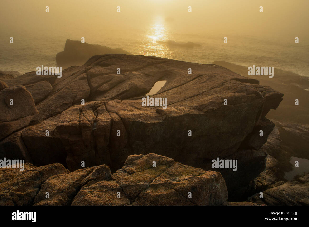 Sunrise Near Thunderhole, Acadia National Park, Maine Stock Photo