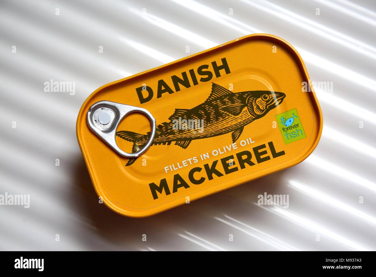 Tin of Danish Mackerel Fillets in Olive Oil Stock Photo Alamy