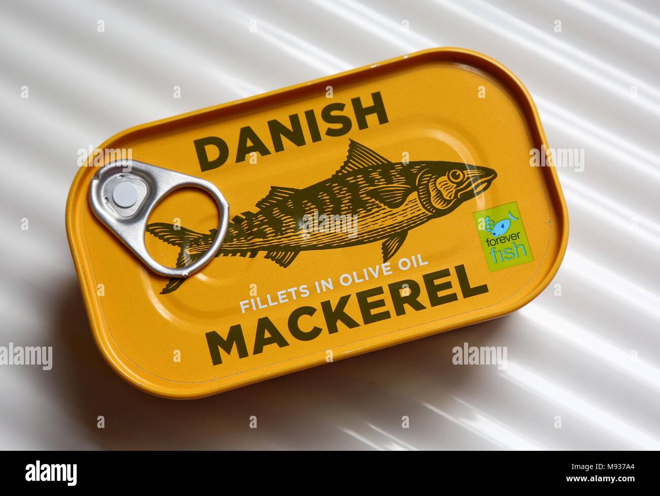 Tin of Danish Mackerel Fillets in Olive Oil Stock Photo Alamy