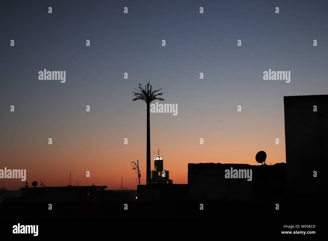 Mobile Phone Communication Mast Disguised as a Palm Tree, and a Mosque Silhouetted Against a Dramatic Sunset in Morocco Stock Photo