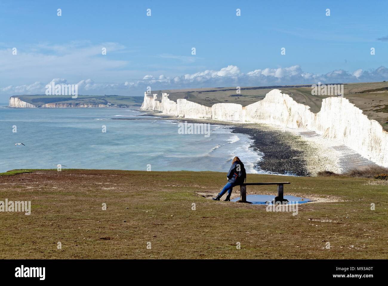 Woman sitting on clifftop bench looking at view of the Seven Sisters ...