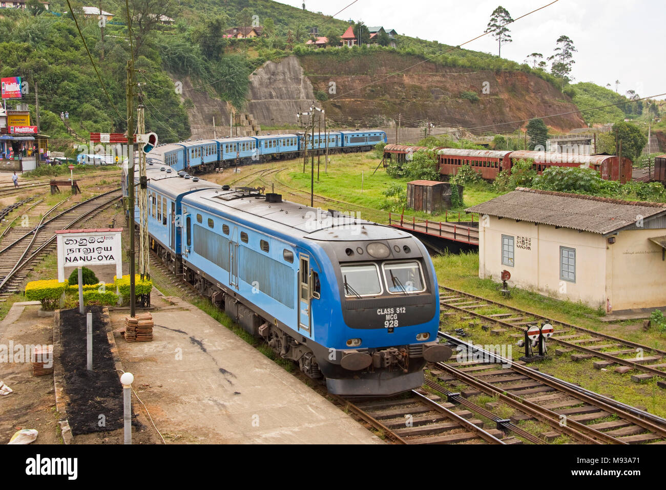 A class S12 MCG 928 diesel multiple-unit (DMU) train pulling in to Nanu Oya railway station, Sri Lanka. Stock Photo