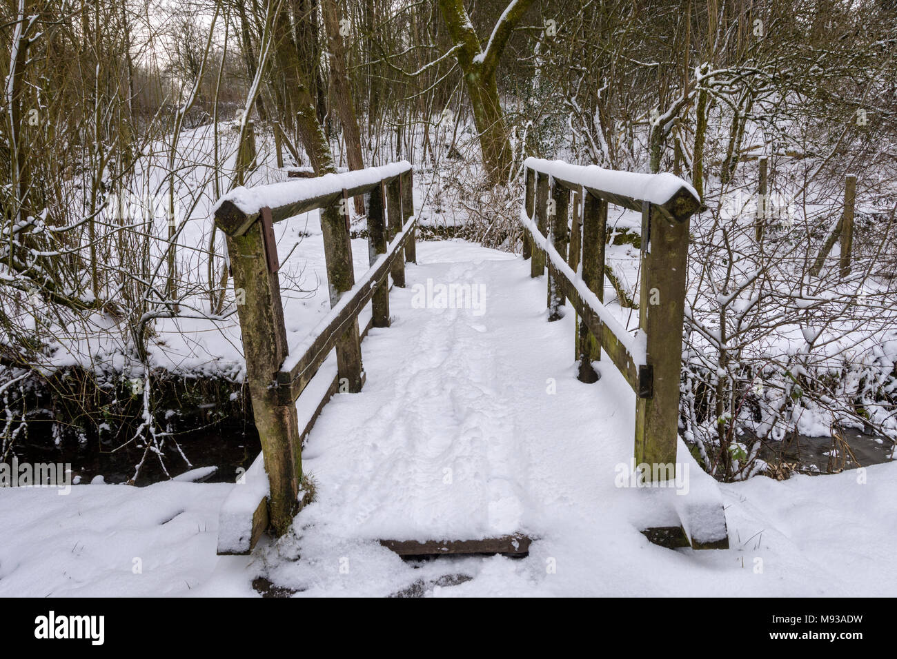 Wooden footbridge over the former canal, Hollinwood Branch Canal Nature Reserve, Failsworth, Manchester, England, UK Stock Photo