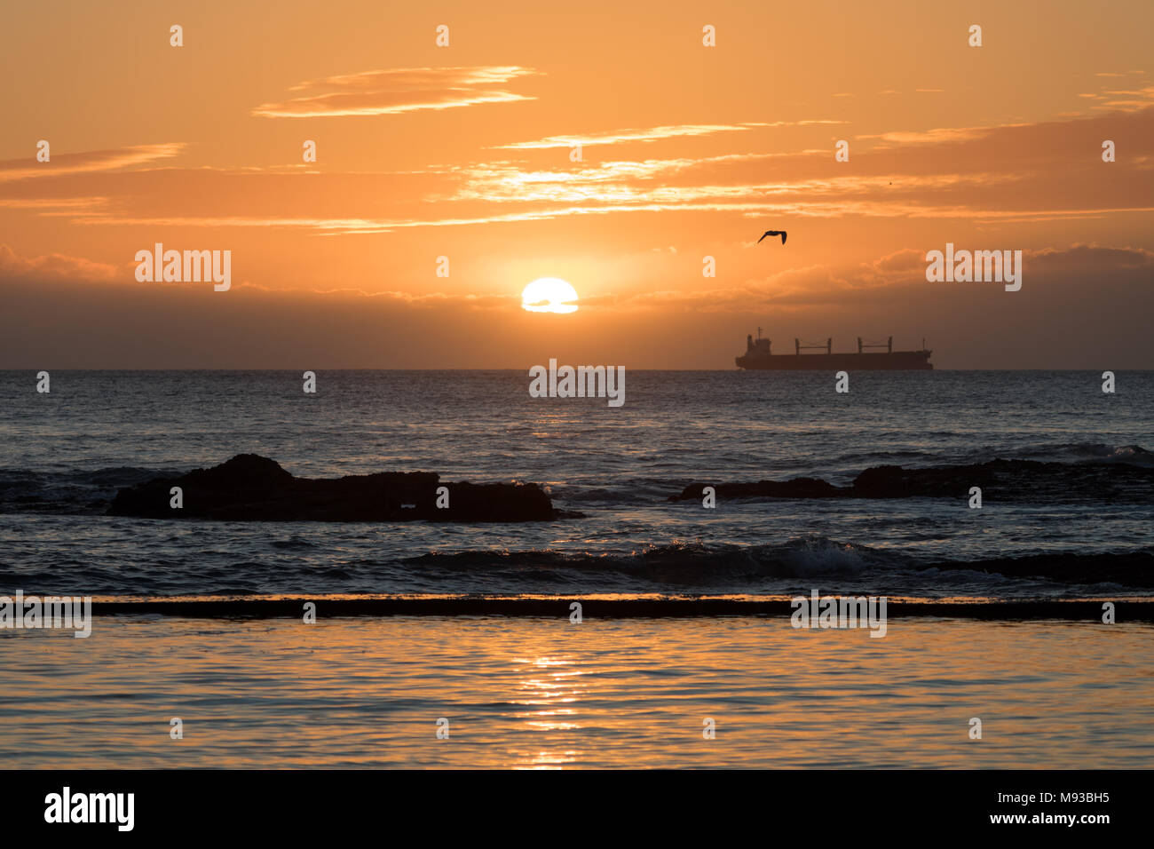 Wave light silhouettes hi-res stock photography and images - Alamy