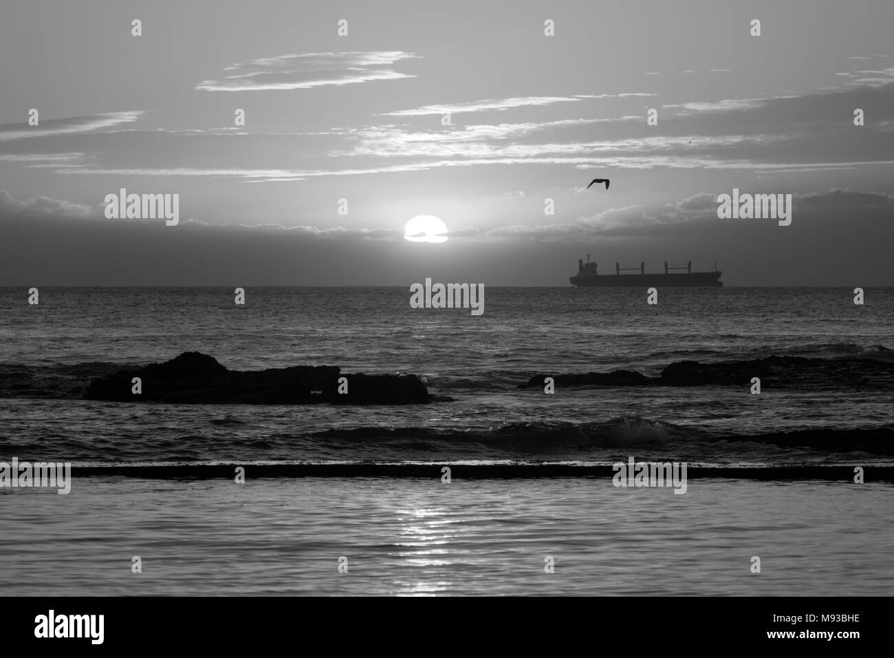 Sunset silhouettes 4   B&W Stock Photo