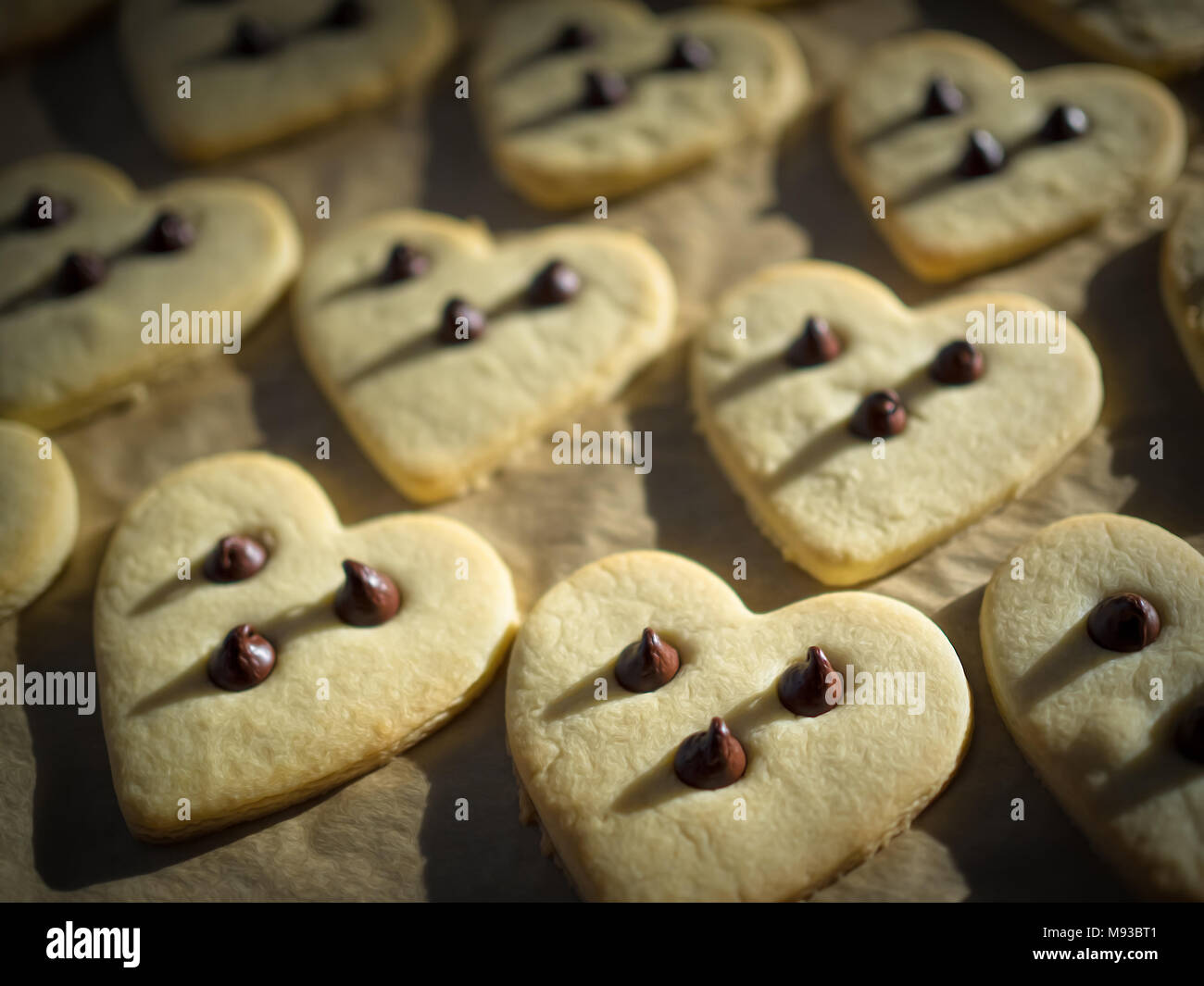 Just out of the oven heart shaped sugar cookies with chocolate chips arranged on a baking sheet. Stock Photo