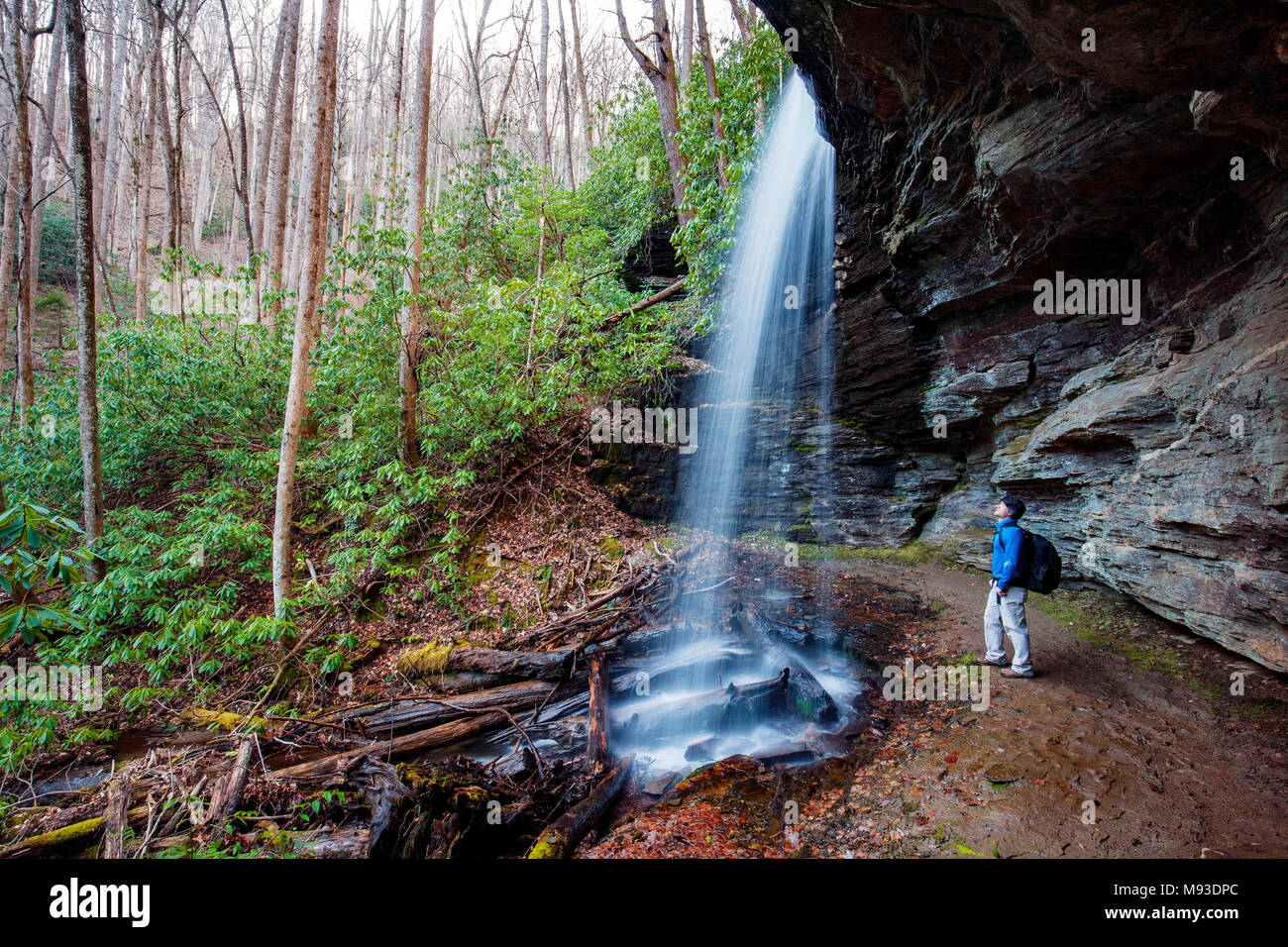 Hiker at Little Moore Cove Falls Pisgah National Forest, Brevard