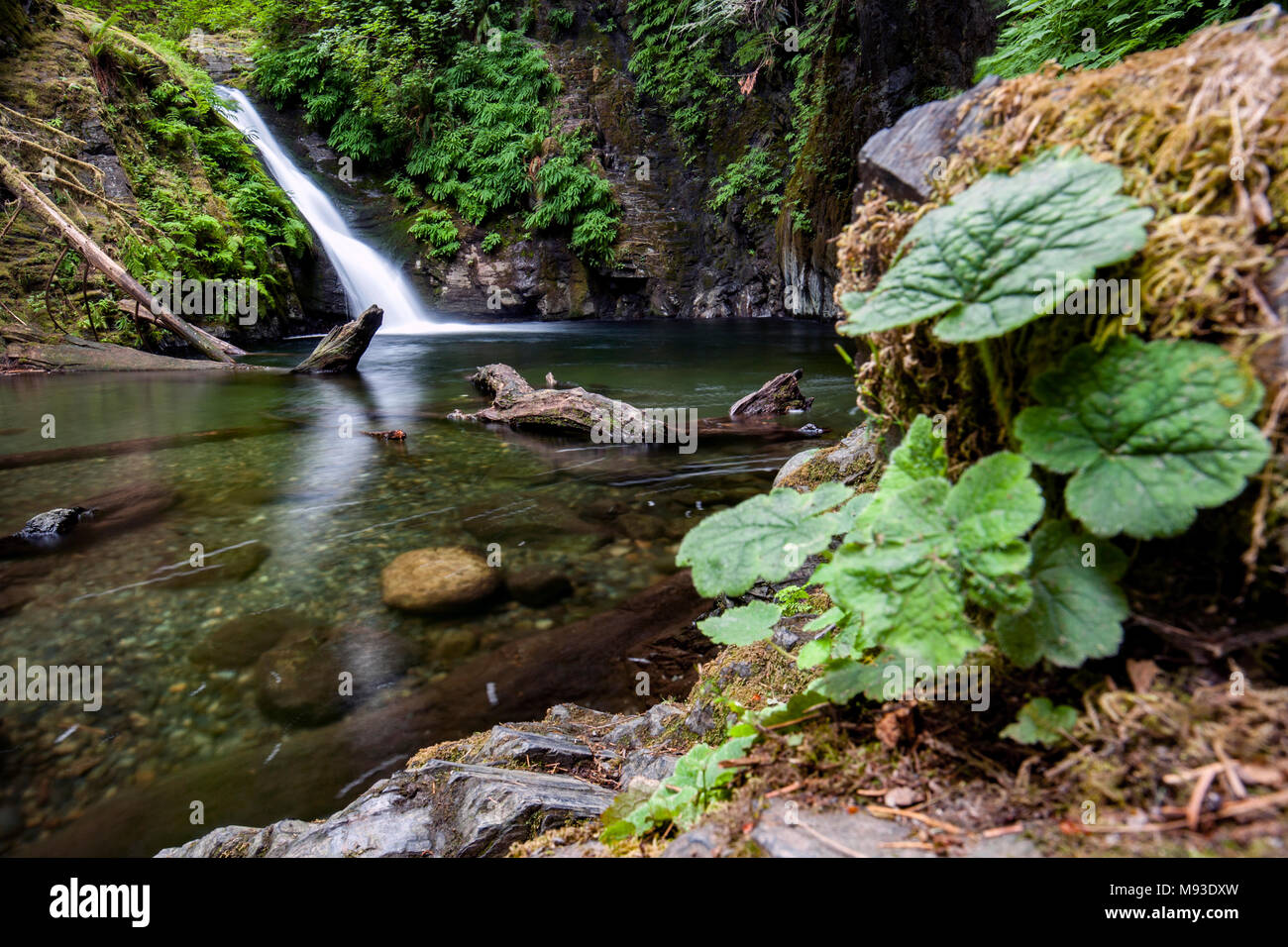 Goldstream Falls - Goldstream Provincial Park; Victoria, Vancouver Island; British Columbia, Canada Stock Photo