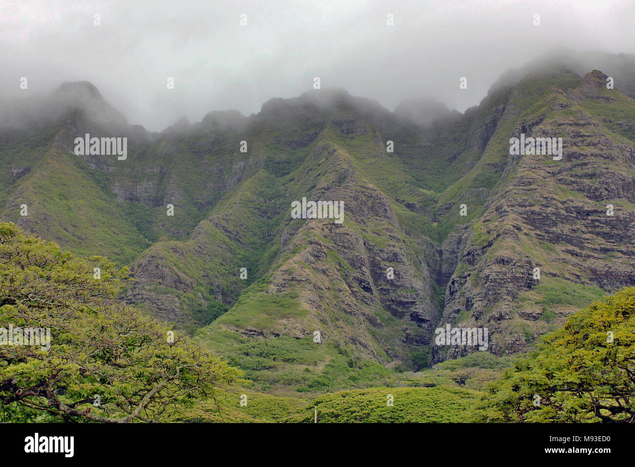 Jungle mountains covered in mist in the Kaaawa Valley on coast of the island of Oahu, Hawaii Stock Photo