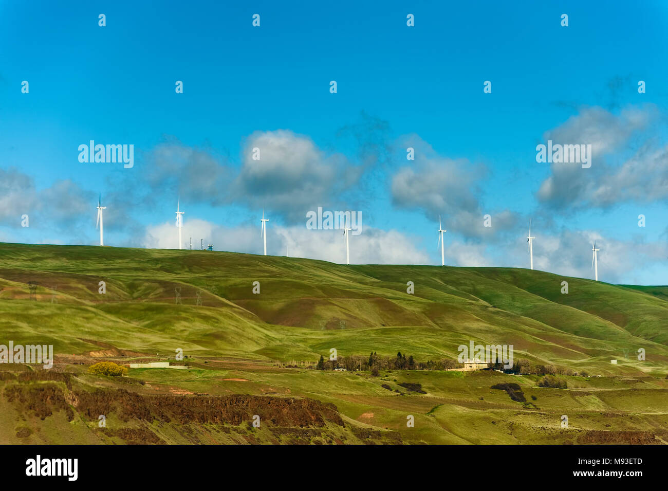 Windturbines stand tall and stark against the high desert landscape of