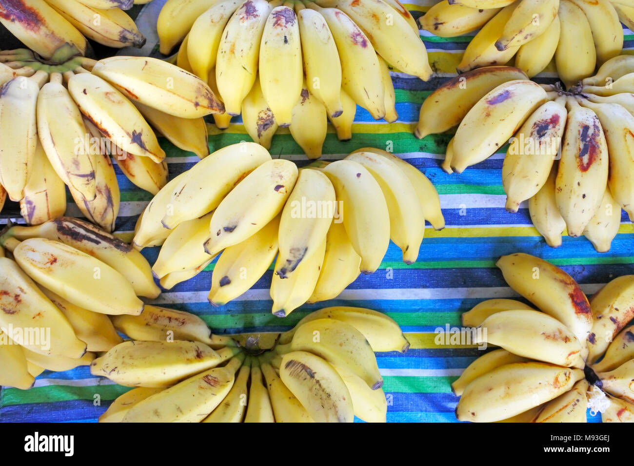 Tropical Fruit Rarotonga Cook Islands High Resolution Stock Photography
