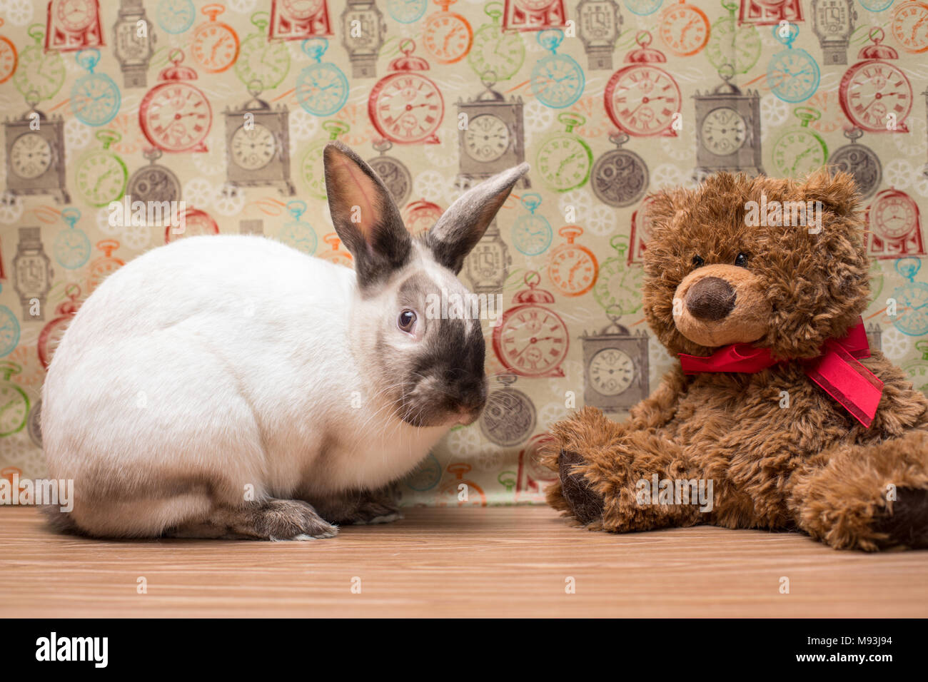 teddy bear toy rabbit