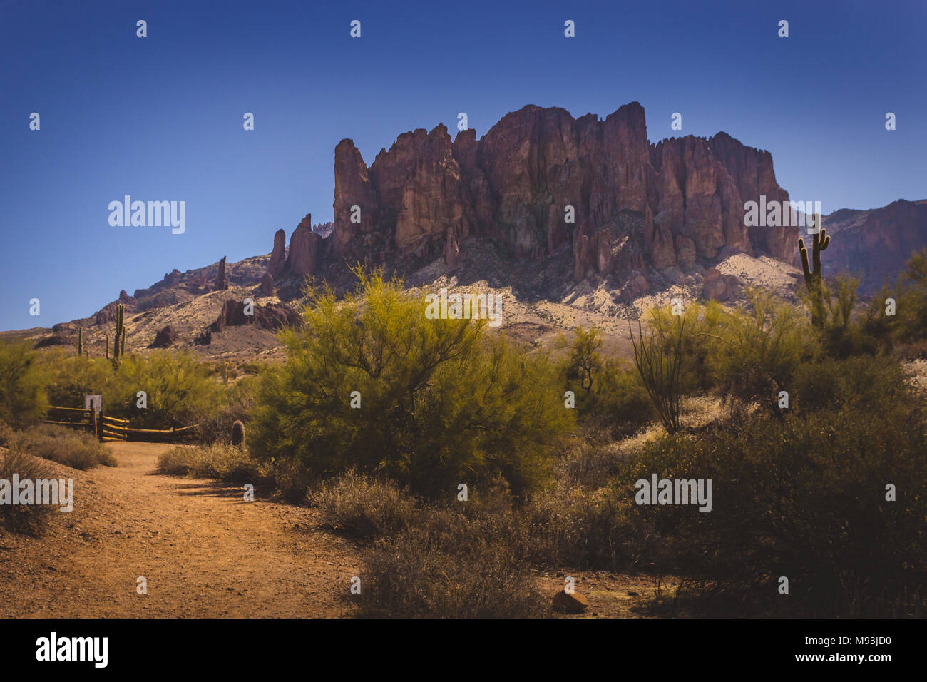 lost dutchman state park treasure loop trail