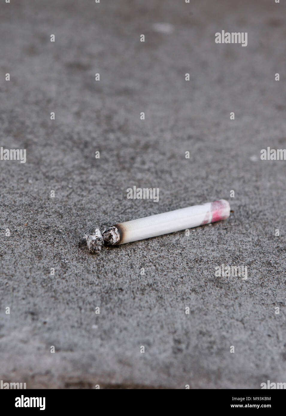 Unfiltered Cigarette Brands
