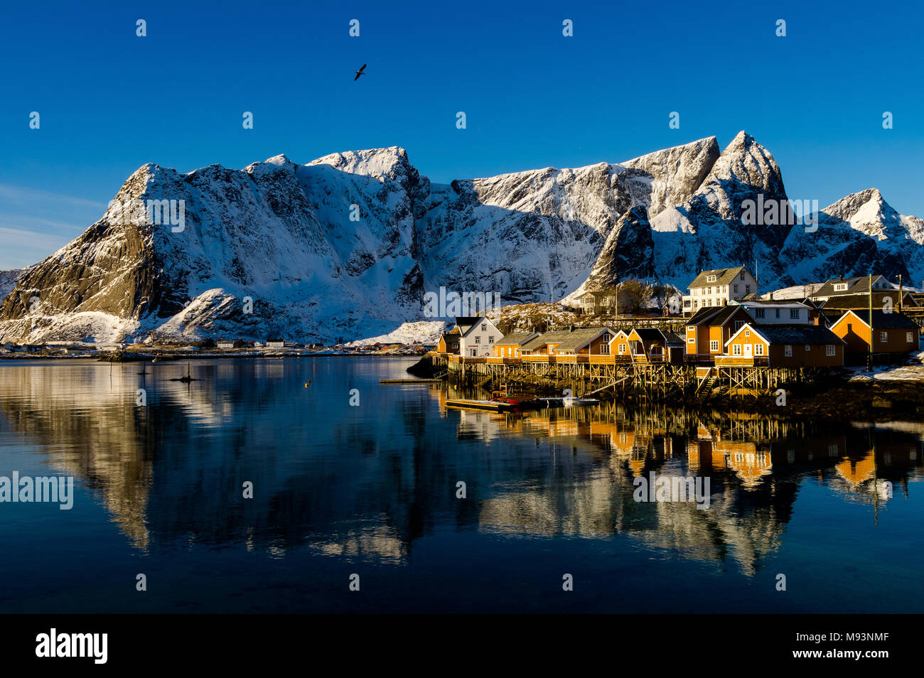 Winterscape of Lofoten Islands in Norway Stock Photo