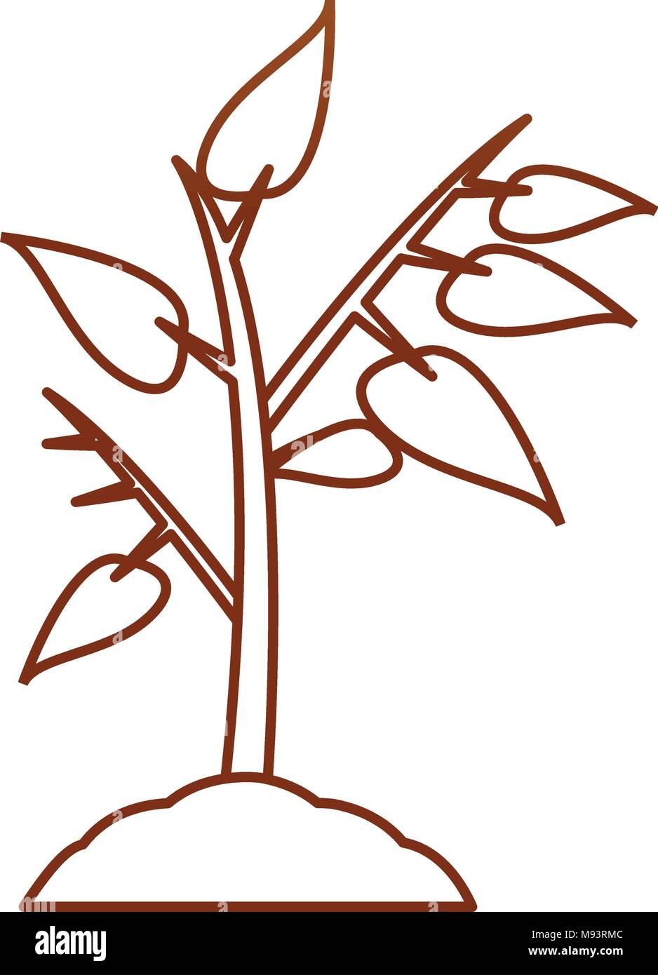 Plant on ground Stock Vector Image & Art - Alamy
