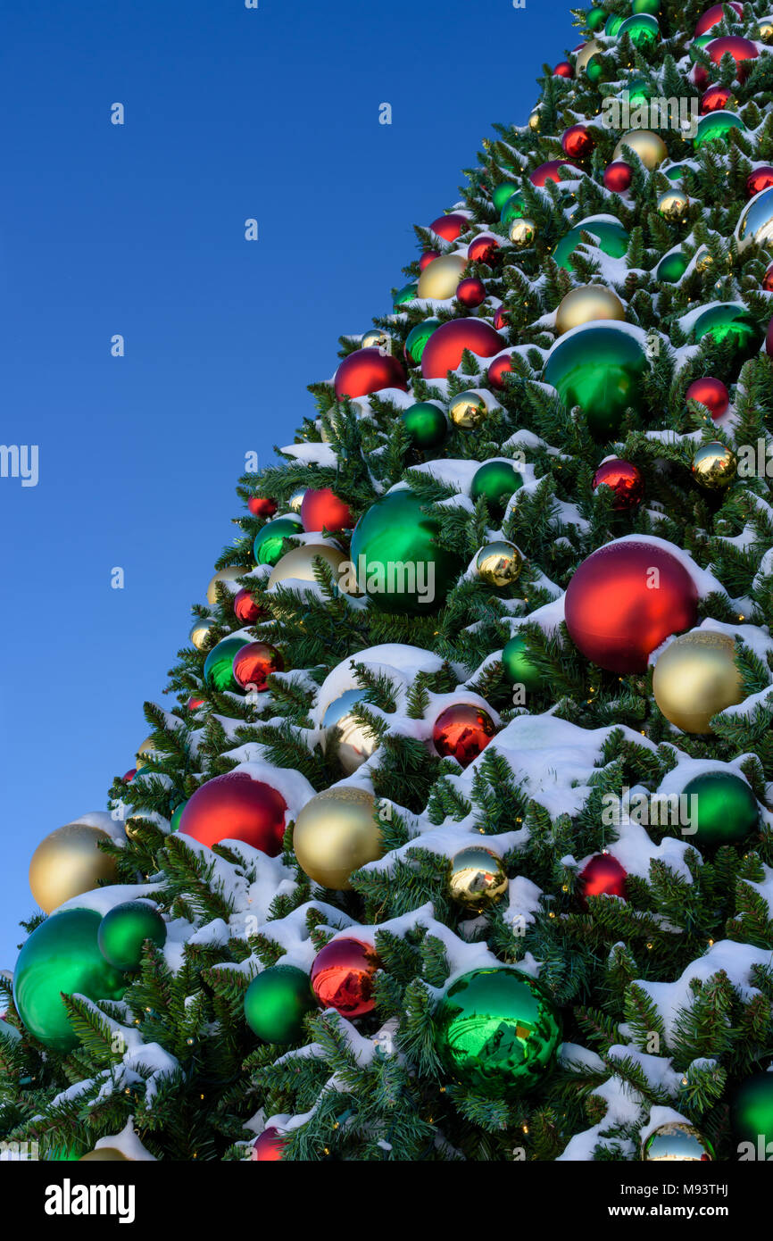 Large Outdoor Christmas Tree With Fresh Snow In Town Park