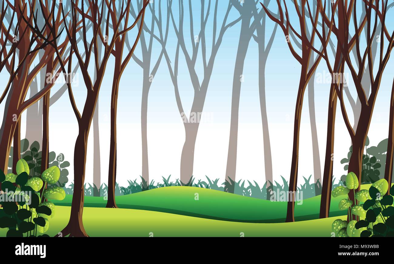 Forest scene with green grass illustration Stock Vector Image & Art - Alamy