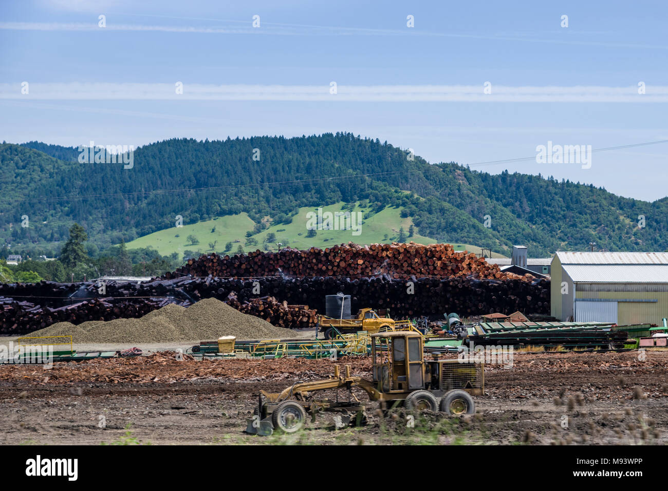 Logs piled ready for use at C&D Lumber Company lumber mill. Riddle