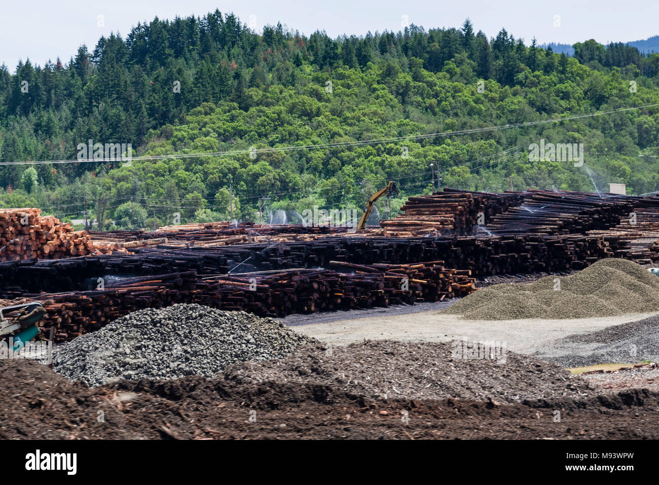 Lumber trade hires stock photography and images Alamy