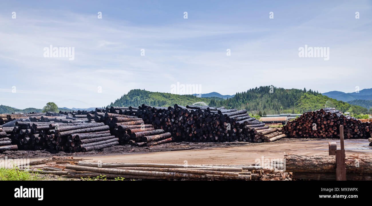 Logs piled ready for use at C&D Lumber Company lumber mill. Riddle