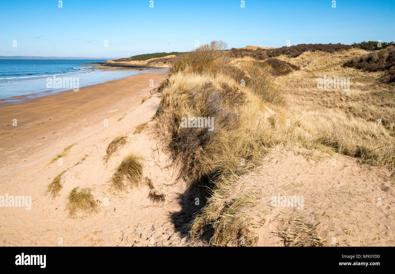 View along Gullane Beach in East Lothian , Scotland, United Kingdom Stock Photo