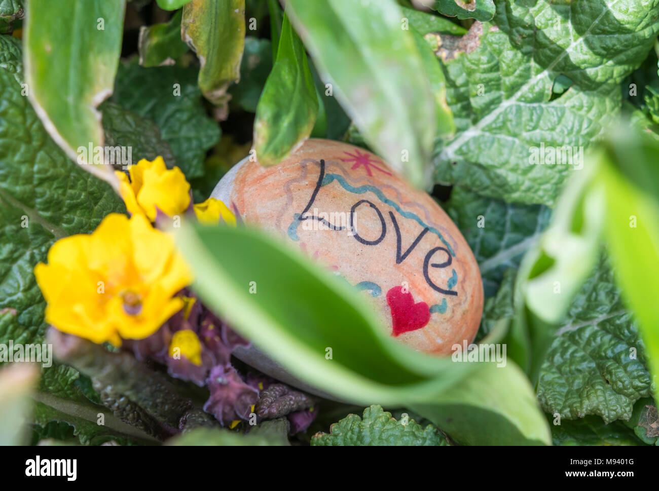 Stone painted with a love heart laying in a garden. Stone art. Stock Photo
