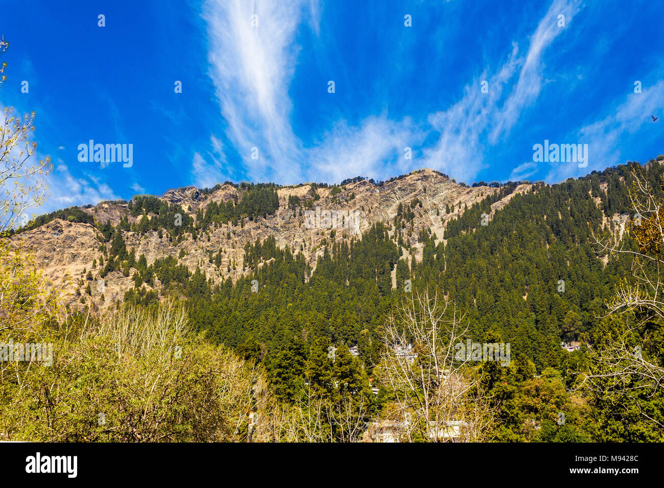 Uttarakhand, India - Vibrant nature of Nainital mountains located in Uttarakhand, India. Landscape view of green nature of Nainital. Stock Photo
