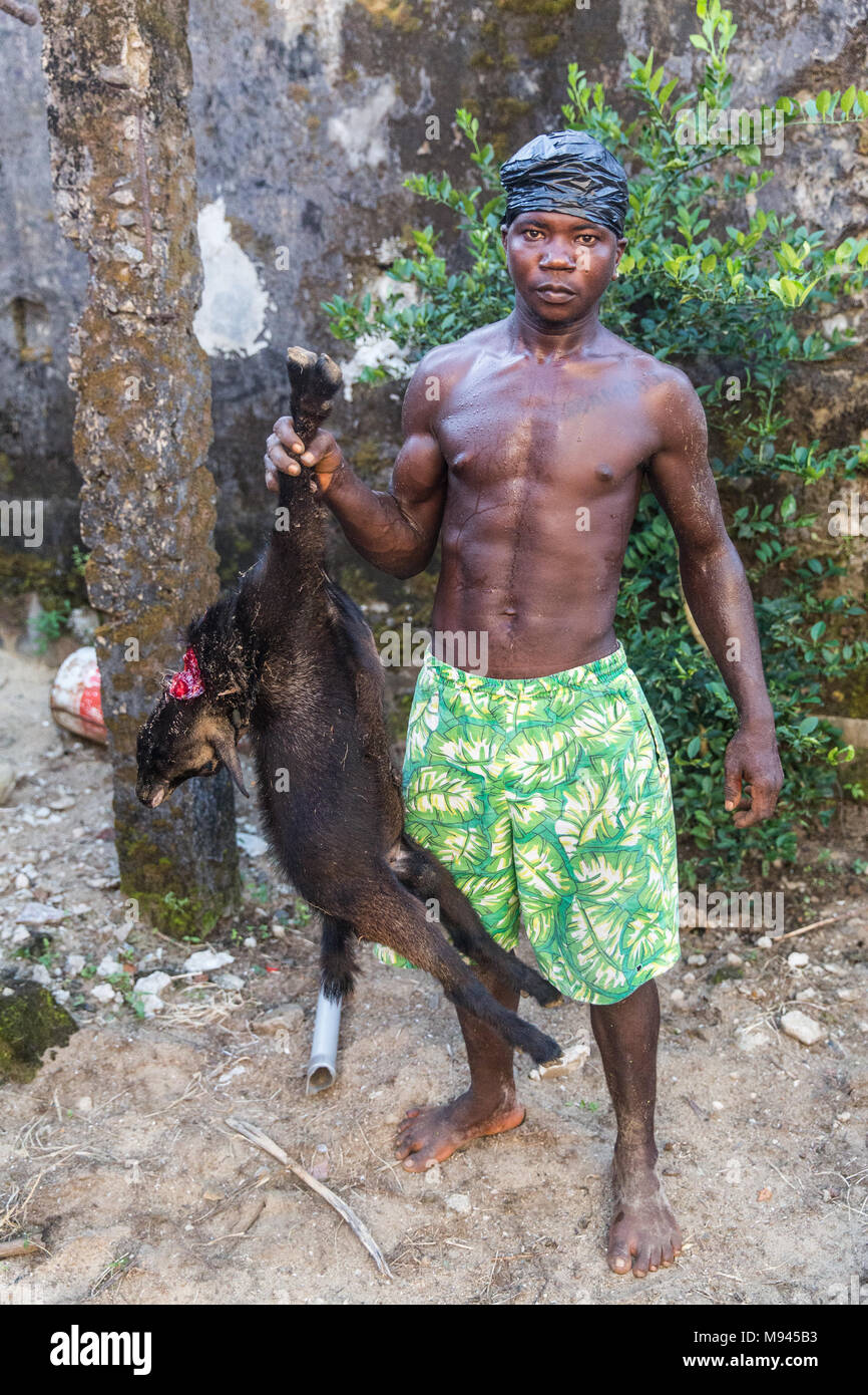 A goat is slaughtered in Bureh Town, Freetown Sierra Leone Stock Photo